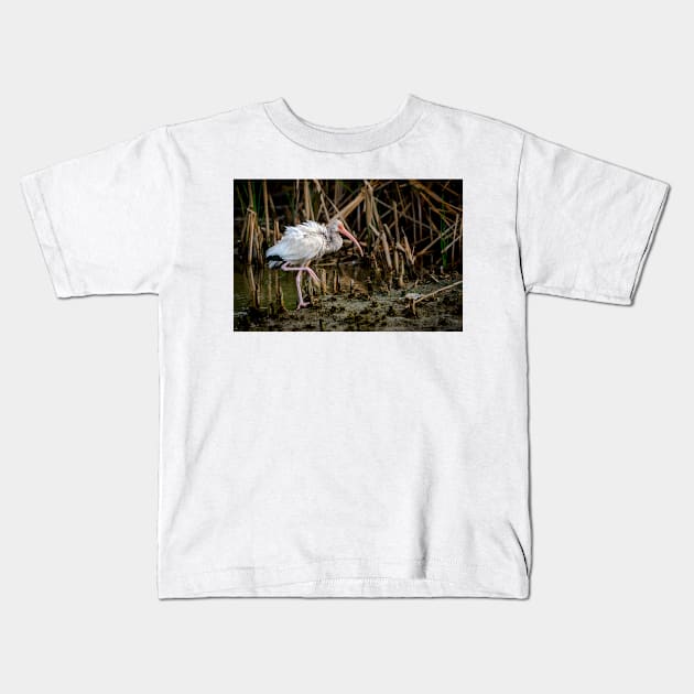 Immature White Ibis On The Move Kids T-Shirt by Debra Martz